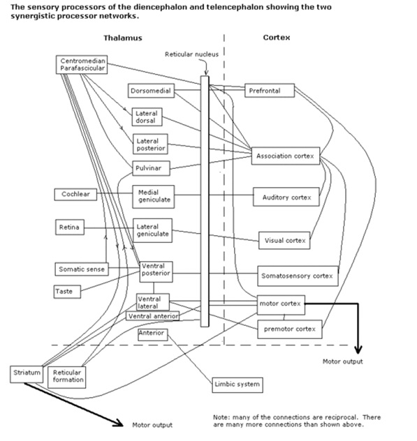 important brain module involved in learning methods
